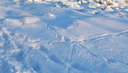 La jambe coincée par un morceau de glace, un enfant secouru par les pompiers
