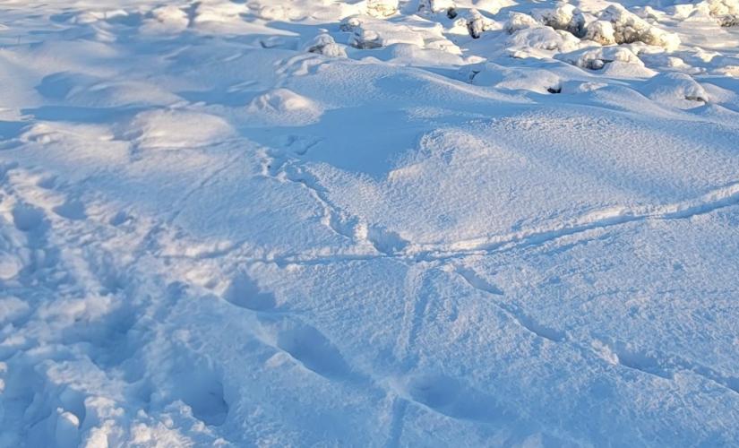 La jambe coincée par un morceau de glace, un enfant secouru par les pompiers
