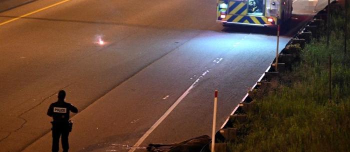 Collision entre un véhicule et un orignal sur l'autoroute Laurentienne