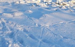 La jambe coincée par un morceau de glace, un enfant secouru par les pompiers
