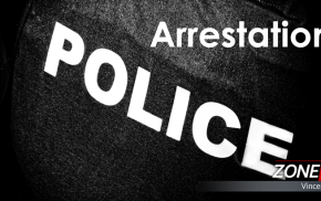  Une femme arrêtée pour plusieurs introductions par effraction sur le territoire de Québec
