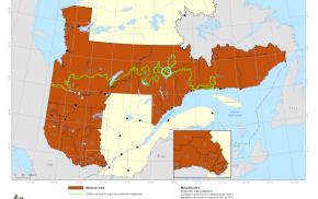 Interdiction de faire des feux à ciel ouvert entre en vigueur aujourd'hui dans plusieurs secteurs du Québec