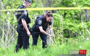 Lévis : Une possible main humaine découverte dans un secteur boisé