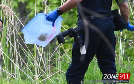 DERNIÈRE HEURE - C'est maintenant confirmé : la main retrouvée dans un boisé n'était pas d'origine humaine