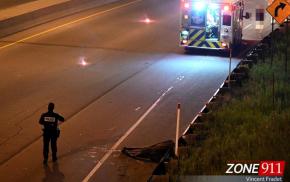 Collision entre un véhicule et un orignal sur l'autoroute Laurentienne