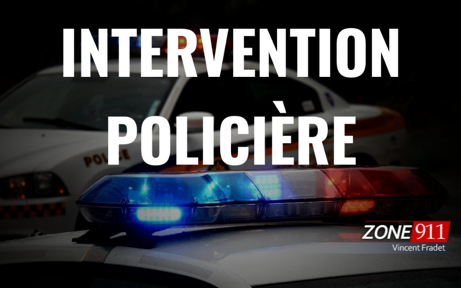 Collaboration Steve Jolicoeur