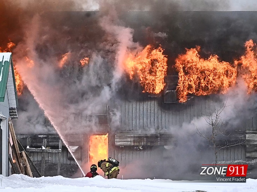 Collaboration Steve Jolicoeur 