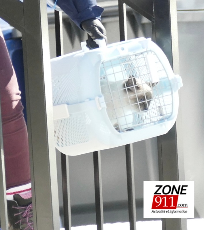 Screenshot 20250314 151052 Gallery1W