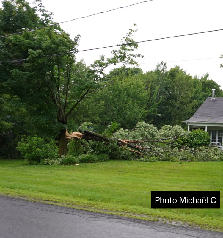 received 15454458430807641W