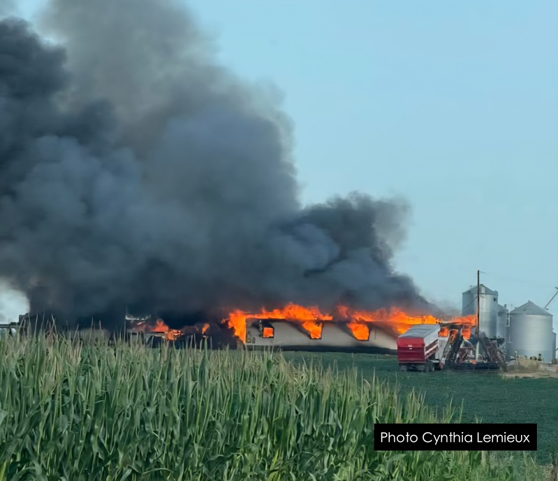 FB IMG 17548694613021W