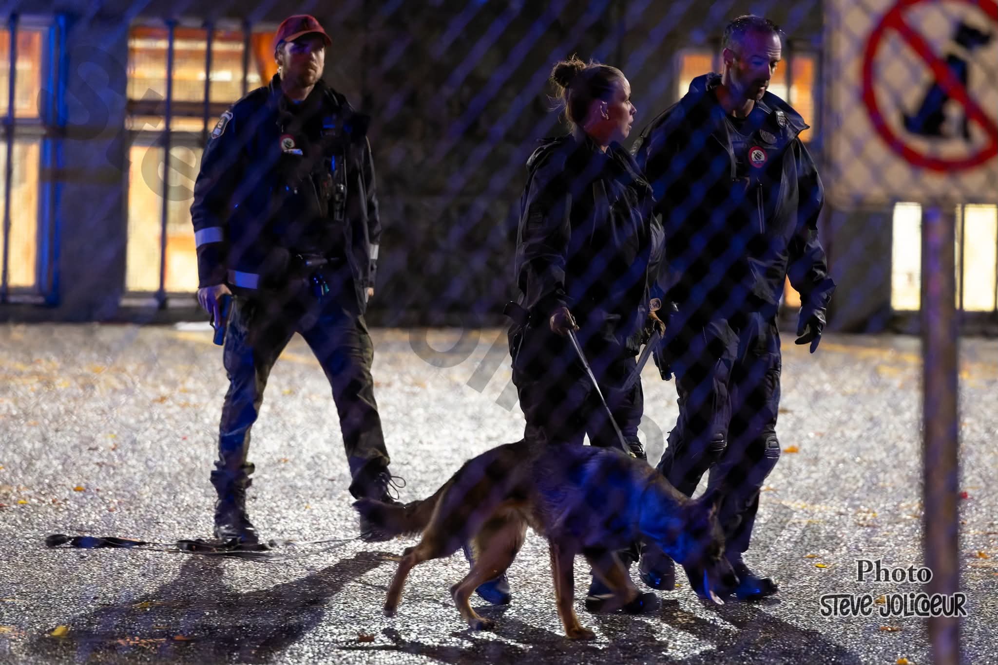 FB IMG 1761995851834