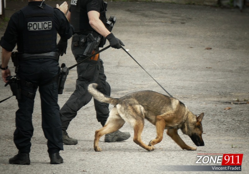Frappe policière la police de Québec saisit des drogues et près de 900 000$