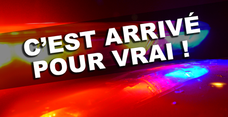 De la drogue retrouvé dans deux véhicules neufs chez des concessionnaires de véhicules 