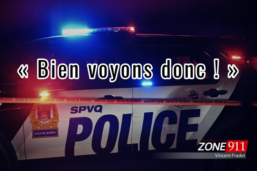 Des jeunes menacés avec des armes pour de simples balles de neige