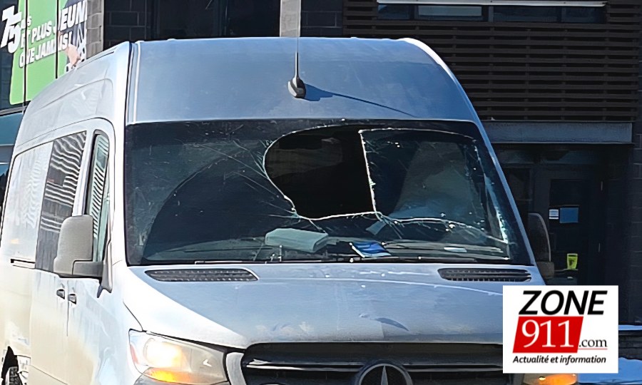 20260216_113313(1)_Z9