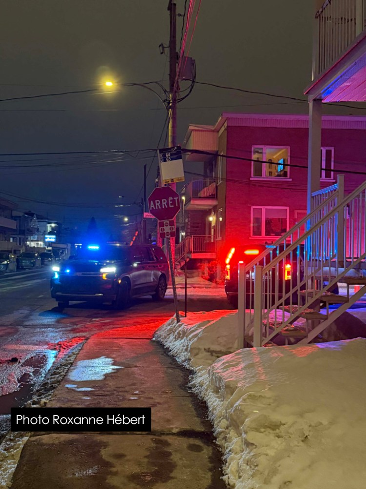 Messenger_creation_342BBF72-C880-47B6-BF50-7096369CE1E1_Z9