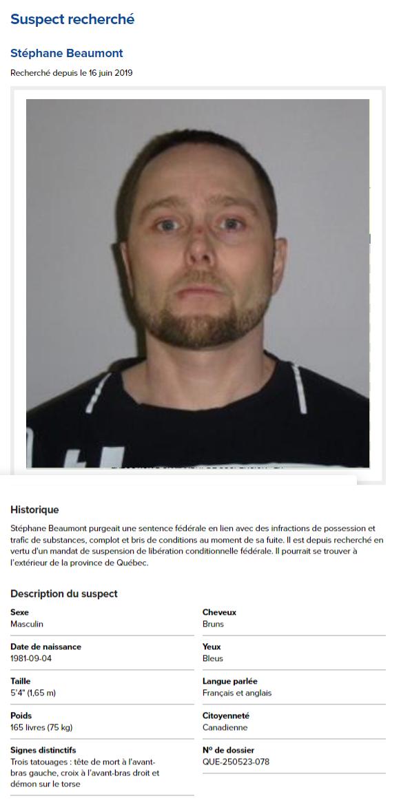 thumb Suspect recherché www.ville.quebec.qc.ca