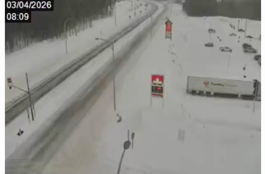 Screenshot_20260403_081302_Chrome