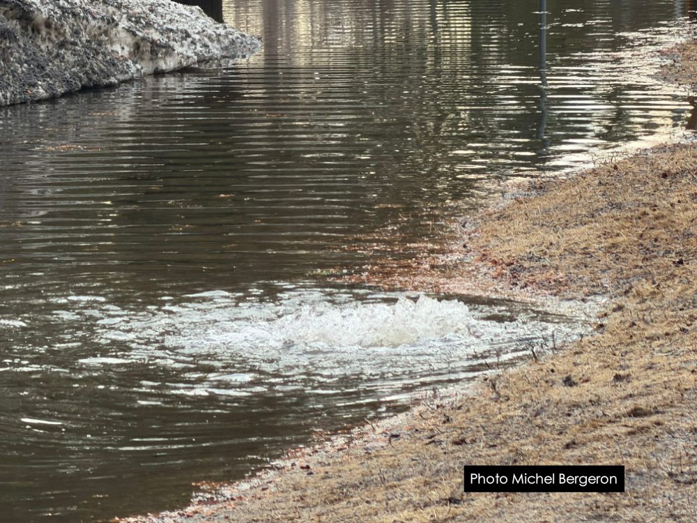 Messenger creation 7484C6A1 90FD 4A98 B33B C3ADF74D866A Z9