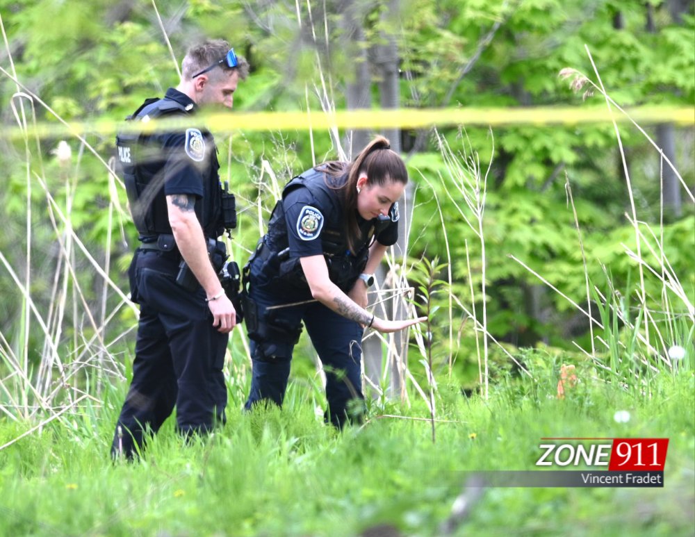 Lévis : Une possible main humaine découverte dans un secteur boisé