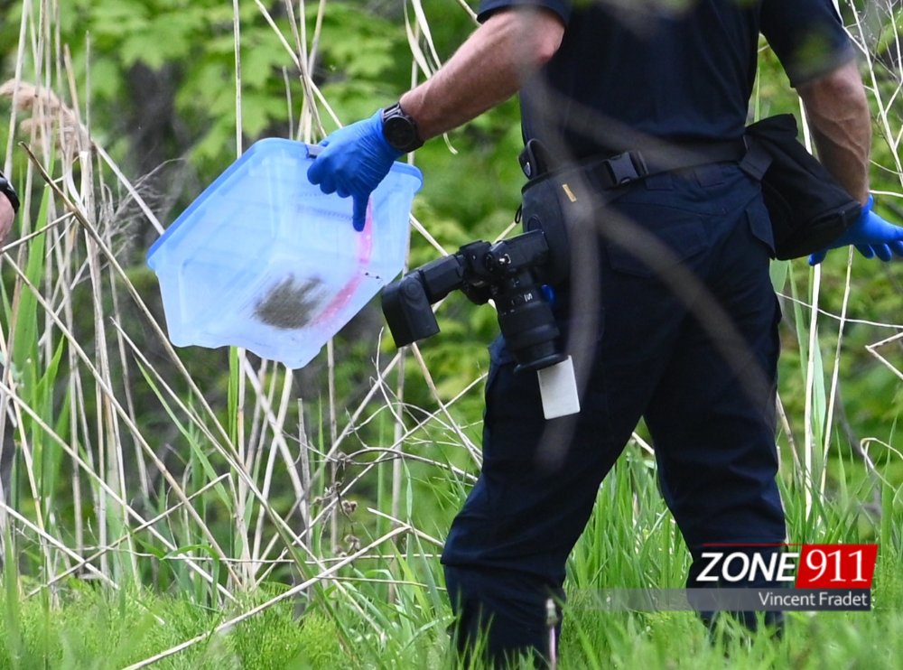 DERNIÈRE HEURE - C'est maintenant confirmé : la main retrouvée dans un boisé n'était pas d'origine humaine