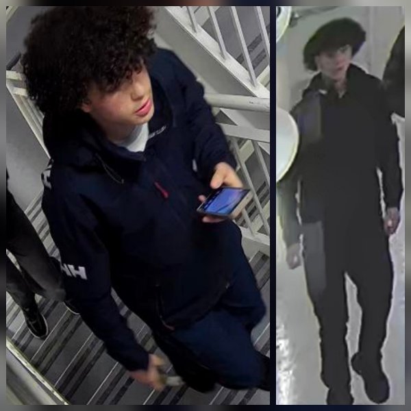 Incendie criminel dans Duberger-Les Saules suspect à identifier 