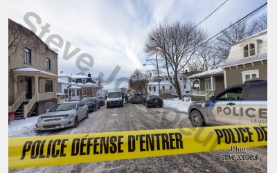 Collaboration Steve Jolicoeur 