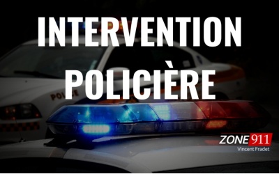 Collaboration Steve Jolicoeur